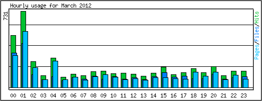 Hourly usage