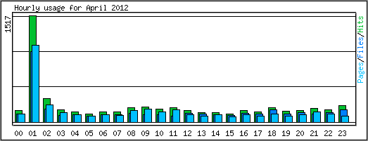Hourly usage