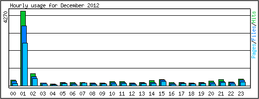 Hourly usage