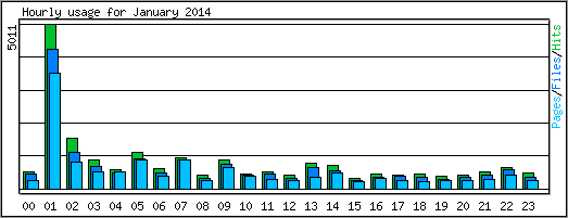 Hourly usage