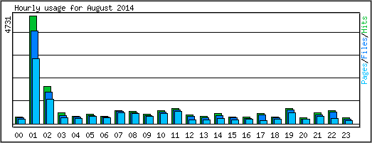 Hourly usage