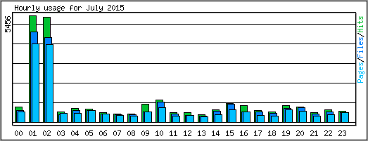 Hourly usage