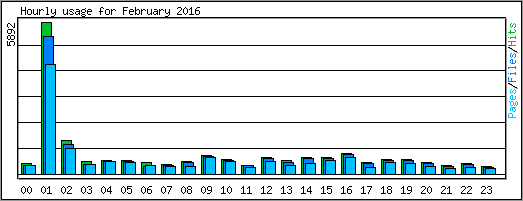 Hourly usage