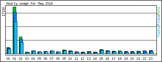Hourly usage