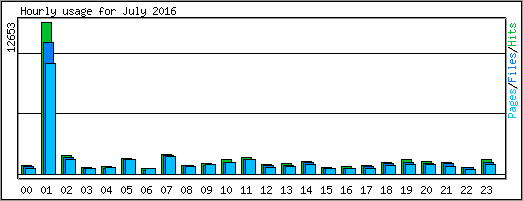 Hourly usage
