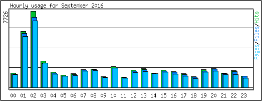 Hourly usage