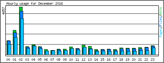 Hourly usage