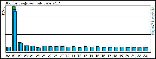 Hourly usage