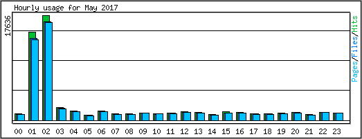 Hourly usage