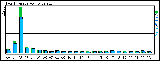 Hourly usage