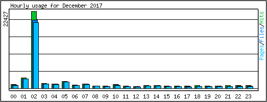 Hourly usage