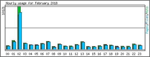 Hourly usage