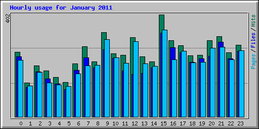 Hourly usage for January 2011