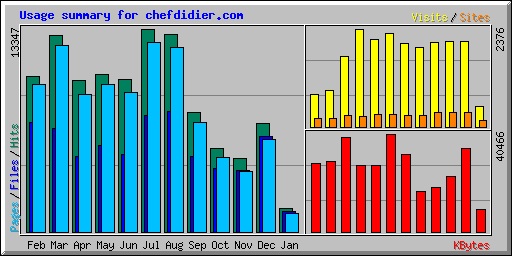 Usage summary for chefdidier.com